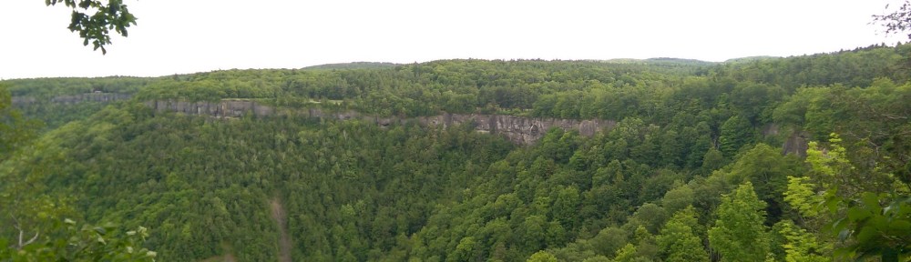 A few looking across at the cliffs at Thacher Park