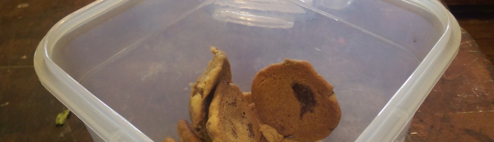 Chocolate Chip Cookies in a plastic container