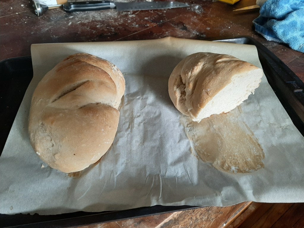 Image is of  full loaf (on the left) and a half loaf of homemade sourdough bread.