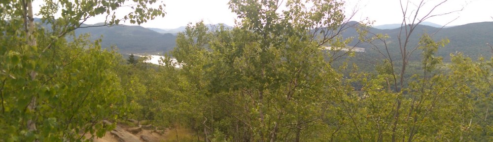 Need something warm looking!