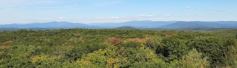 View from Grafton Fire Tower looking northeast.