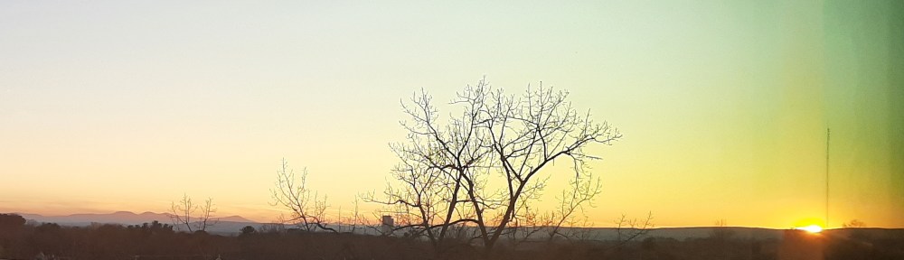 Image of a sunsetting on the right side of the screen, with a tree in the foreground in the center.