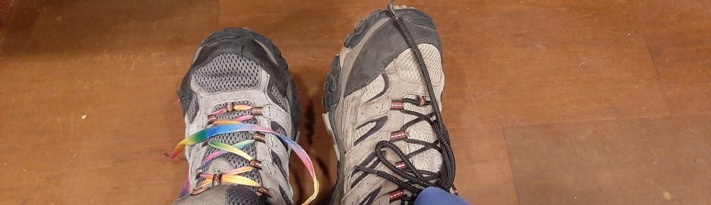 Image of two similar shoes (same type, but one is older and has rainbow laces).