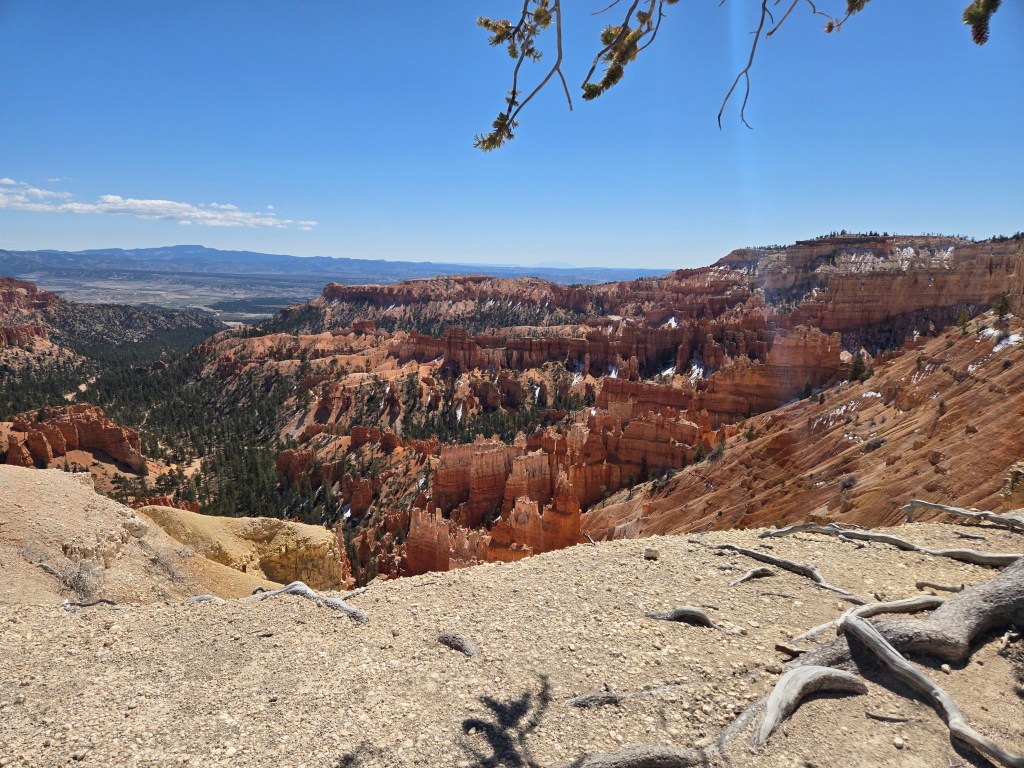 A view of the Bryce amphitheater.