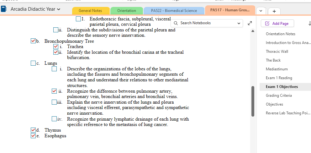 Screenshot of my OneNote page for Human Gross Anatomy