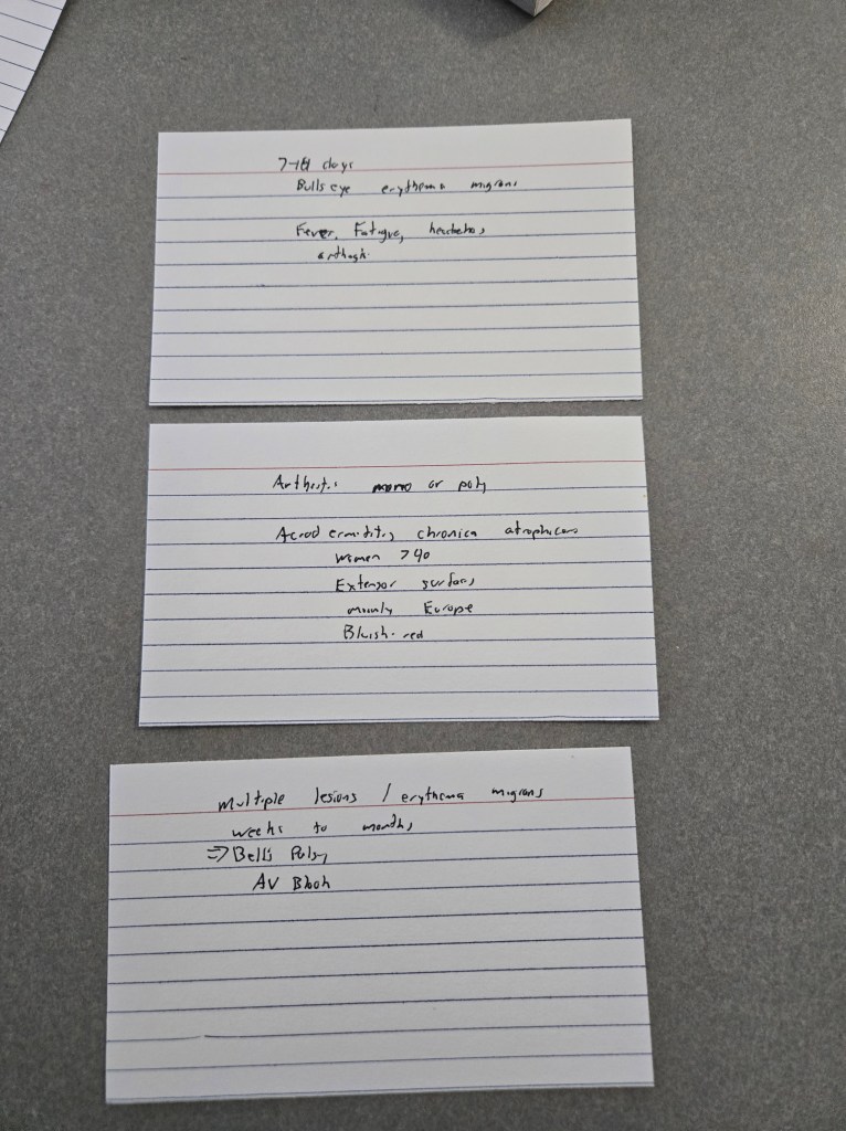 Three index cards, one for each stage of Lyme Disease
